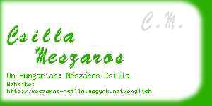 csilla meszaros business card