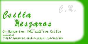 csilla meszaros business card